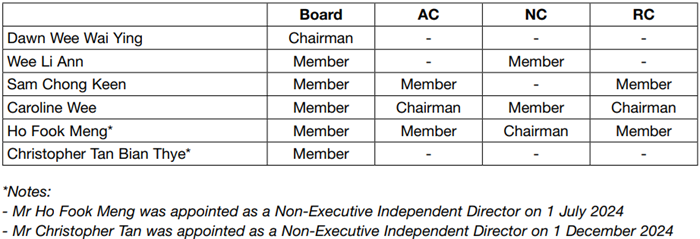 corporate governance - stamfordtyres